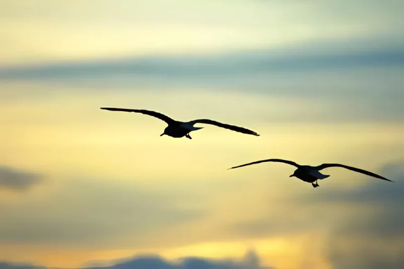 TEOLOGIA DE PROVÉRBIOS: A Sabedoria Começa com o Temor do Senhor